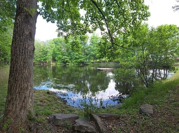 1984 Horseshoe Road, Westfield, NC 27053