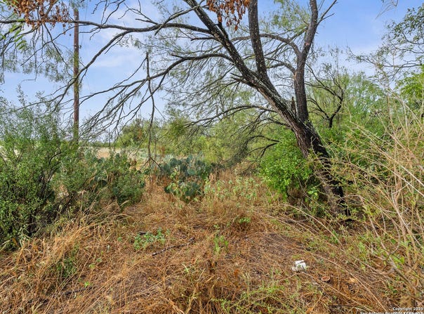 17321 Jackel Rd, Von Ormy, TX 78073