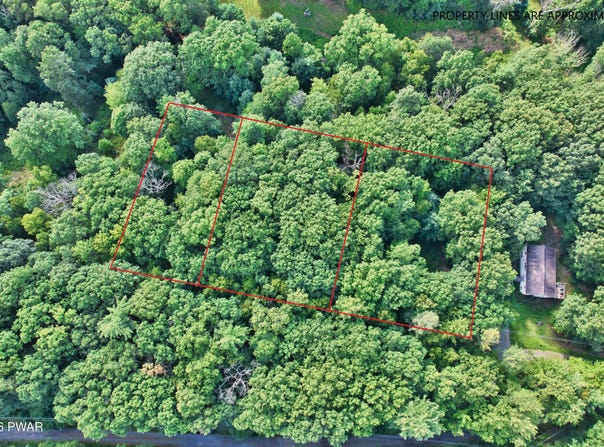 Violet Lane, Dingmans Ferry, PA 18328