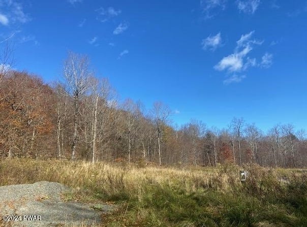 Rotten Road, Equinunk, PA 18417