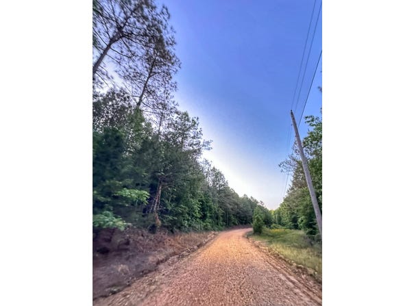 03 Grant Road, Hamilton AL, AL 35593