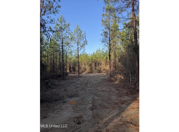 Pat Hickman Road, Perkinston, MS 39573