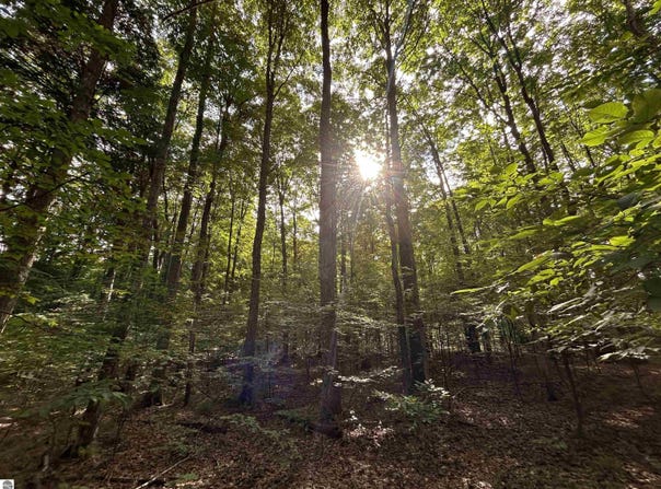 Langs Lane, Interlochen, MI 49643