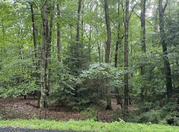 707 Walnut Lane, Albrightsville, PA 18210