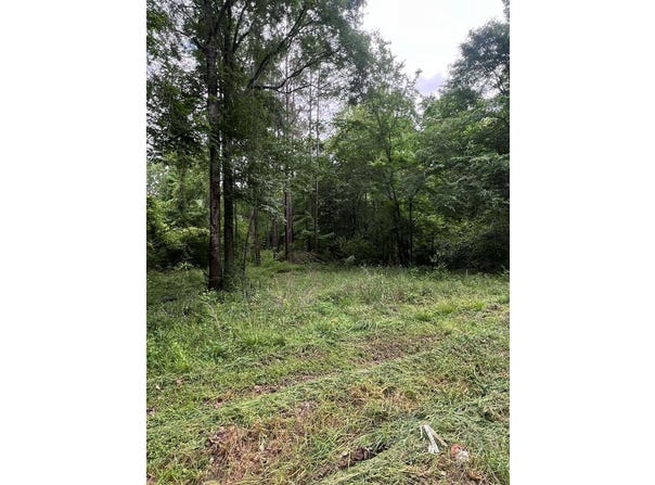 1003 Shady Lane, Jasper, TX 75951