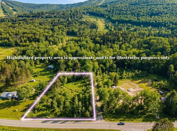 L19.11 South St, Windham, NY 12496