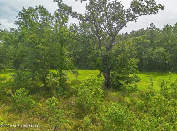 Oliver Street, Bay Saint Louis, MS 39520