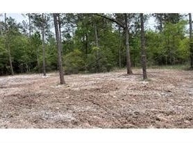 Langham Road, Kountze, TX 77625