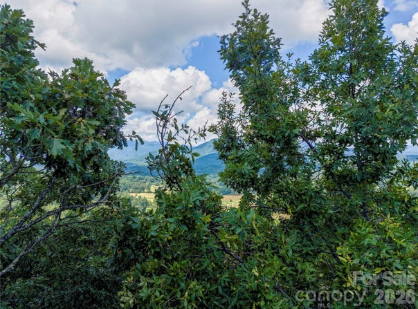 High Pines Loop, Lake Lure, NC 28746