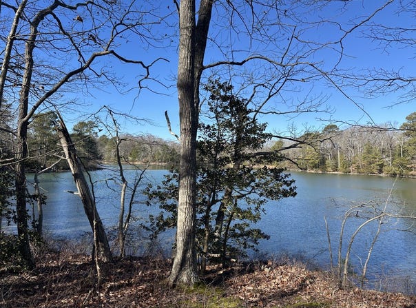 Taylors Beach Rd, Reedville, VA 22539