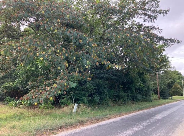 91 CHEAPSIDE RD lot: 91, CAPE CHARLES, VA 23310