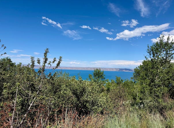 193 HICKOCK Dr, Fish Haven, ID 83287