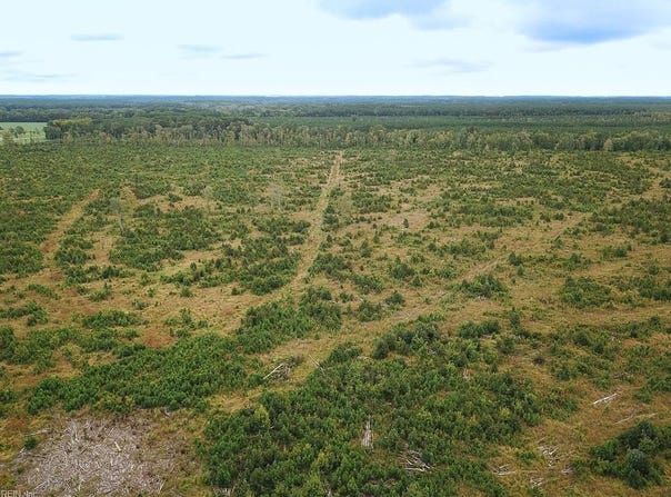 193 Acres Saxis Road, Saxis, VA 23427
