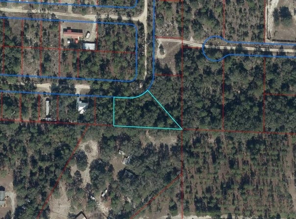 NE 50TH Place, WILLISTON, FL 32696