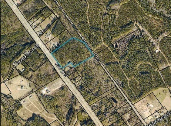 Highway 21 N, Springfield, GA 31329