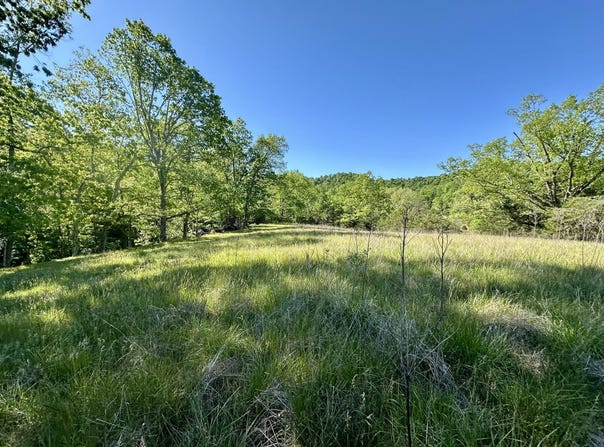 1170 E Doe Creek Road, Liberty, KY 42539