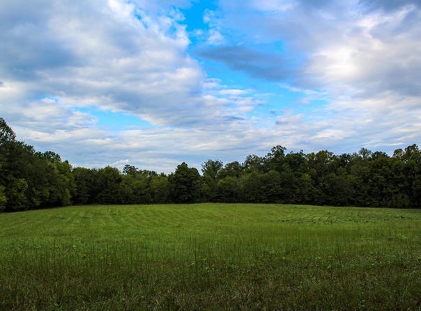 1 SAWYERS COVE ROAD lot: 0, CALERA, AL 35040