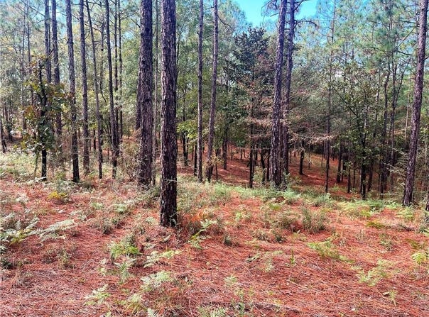 State Highway 225, Bay Minette, AL 36507
