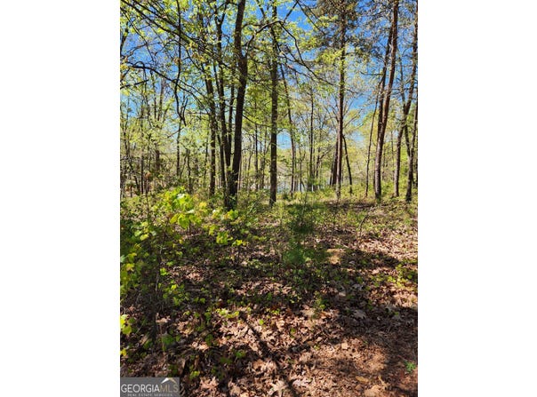 Crawfords Ferry Point, Hartwell, GA 30643