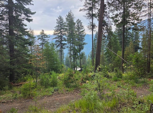 Chipmunk Lane, WallowaLake, OR 97846