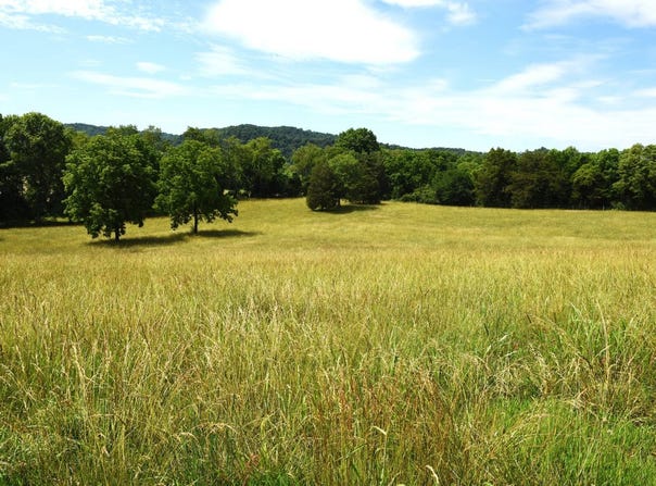 6295 Irish Bottom Rd, Tract #3, Burkesville, KY 42717