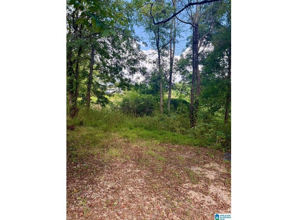 7526 CAHABA AVENUE lot: 9/1, LEEDS, AL 35094