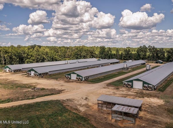 133 G W Smith Road, Silver Creek, MS 39663