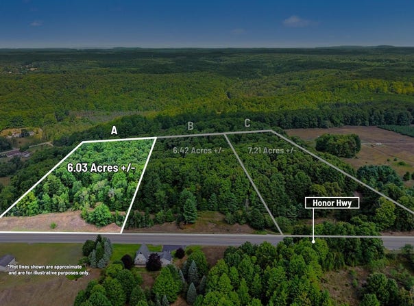 Parcel A, Honor Highway, Honor, MI 49640