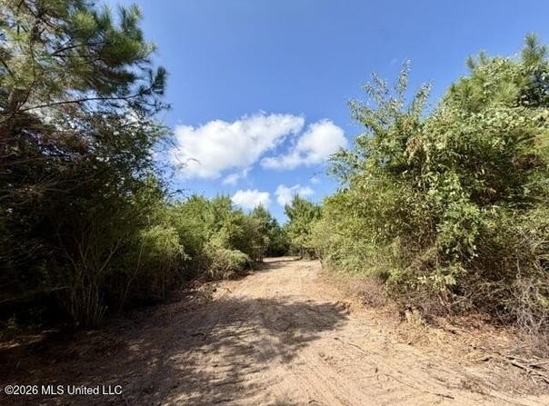 Robert Bateman Road, Franklinton, LA 70438