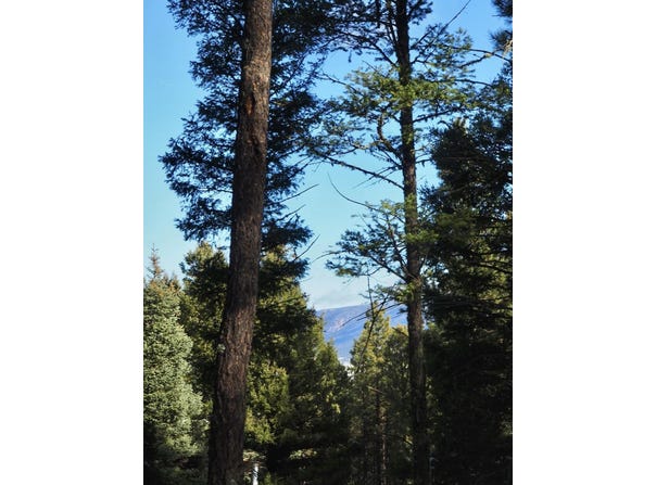 Valle Grande Circle lot: 1108, Angel Fire, NM 87710