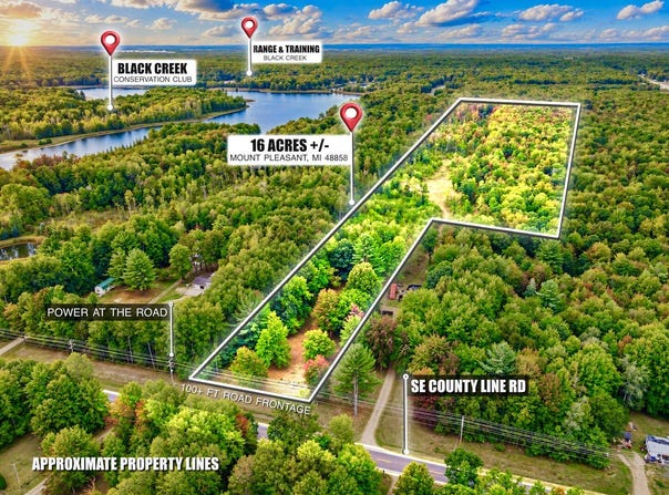 SE County Line Road, Mount Pleasant, MI 48858
