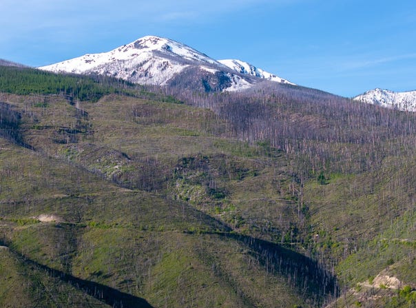 Lolo, MT 59847