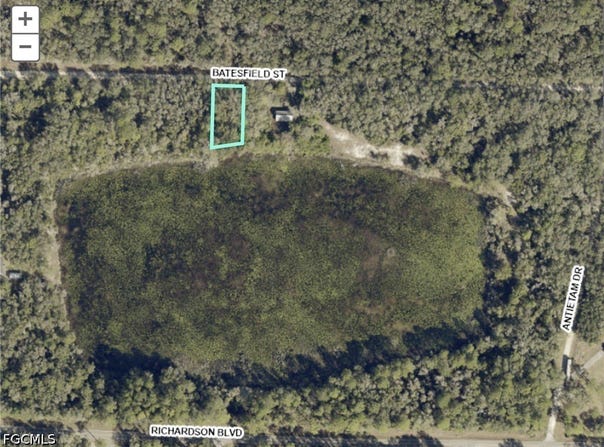 35034 Batesfield Street, Webster, FL 33597