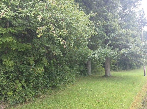 5205 County Road 9, Edison, OH 43320