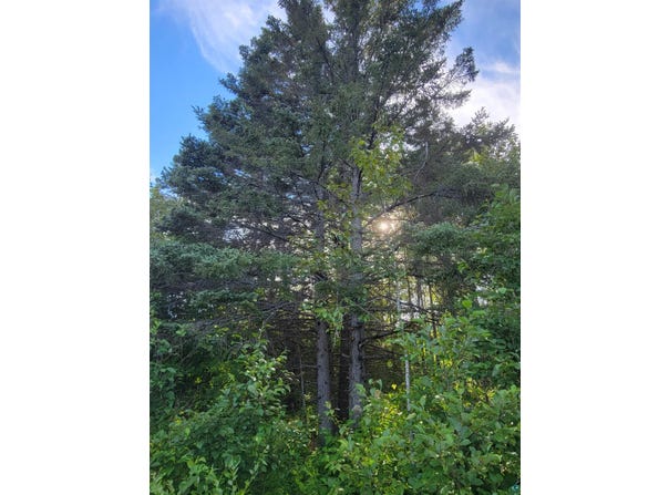 72XX E Superior St, Duluth, MN 55804
