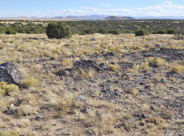 8Z Concho Creek Dr, Concho, AZ 85924