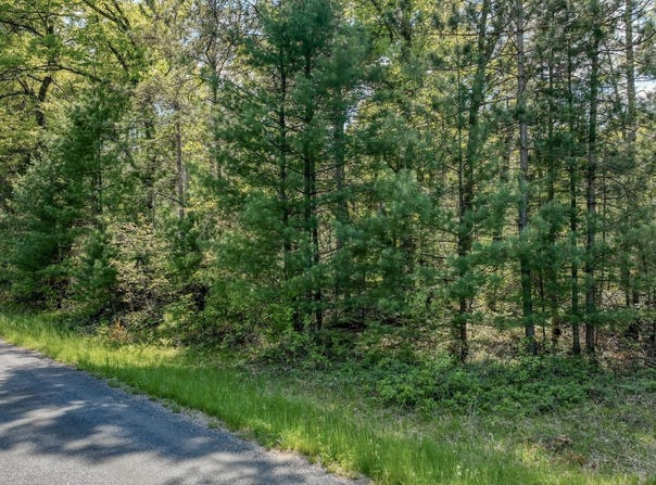 8667 Lakeside Road, Willard, WI 54493