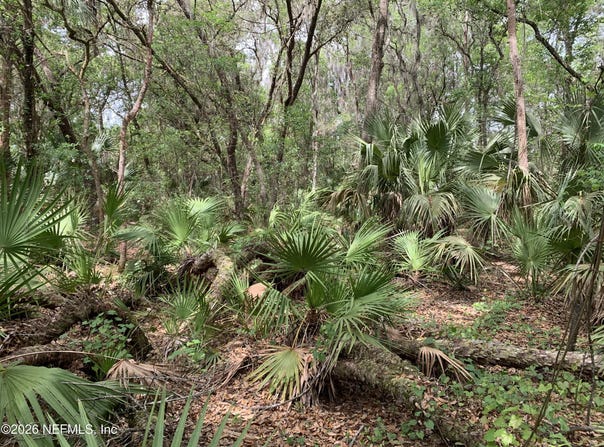 OLD WOODS Road, Interlachen, FL 32148