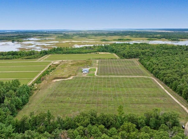 N4085 Cranberry Rd, Warrens, WI 54666