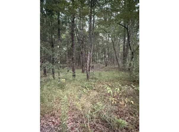 Hwy 43, Sunflower, AL 36581