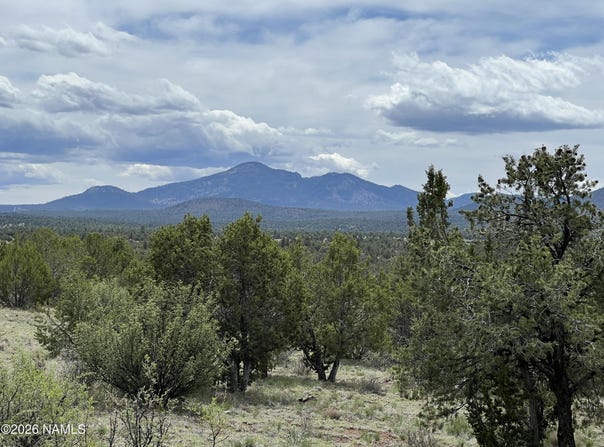 6090 N Cliff Rose, Williams, AZ 86046