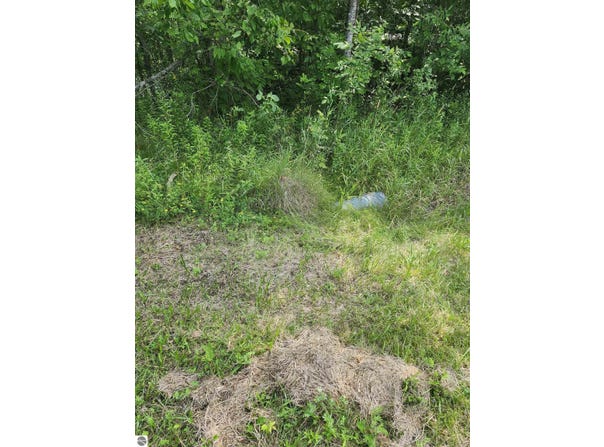 2751 Boughner Lake Road, Prescott, MI 48756