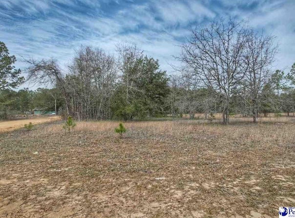 Ozelma Drive, Dillon, SC 29536
