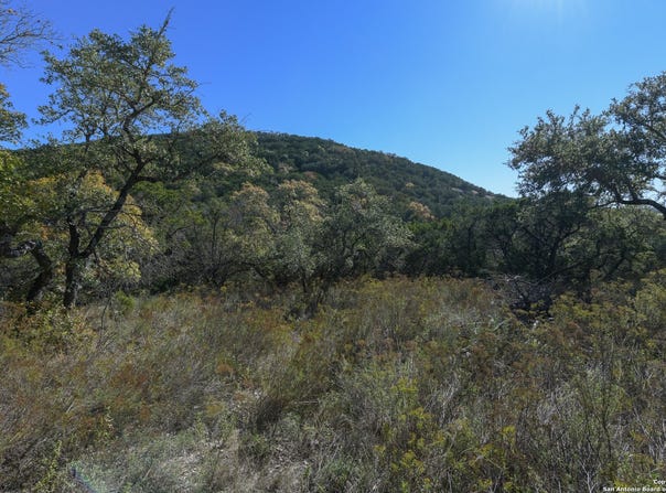 286 private road 1733, Mico, TX 78056