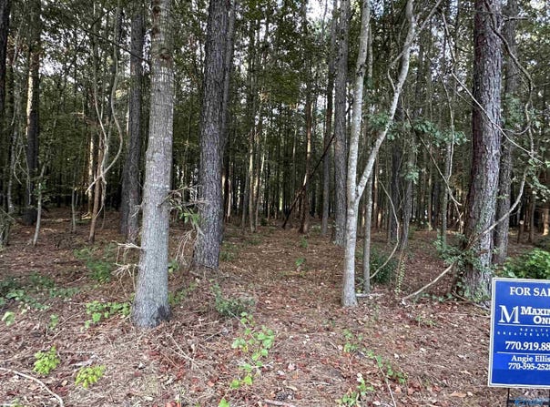 24 County Road 1011, Centre, AL 35960
