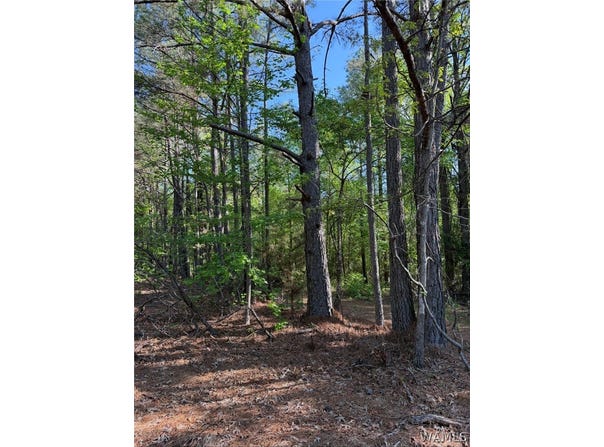 1 Old Highway 18, Vernon, AL 35592