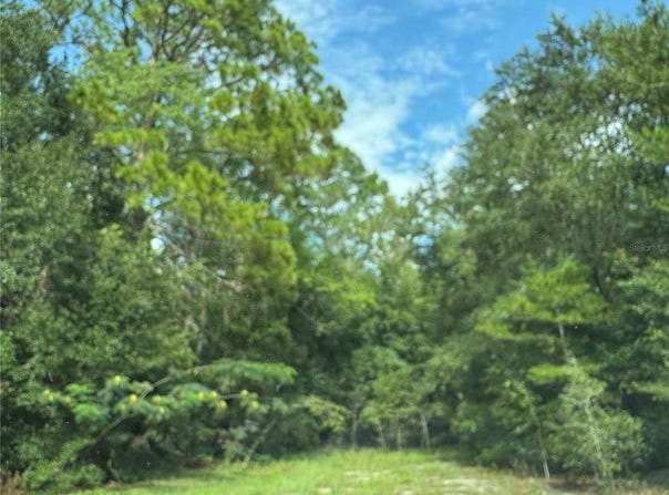 UNASSIGNED, FORT MC COY, FL 32134