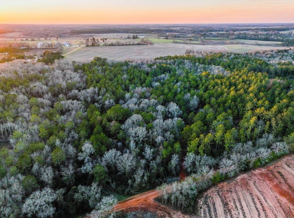 County Road 646, Coffee Springs, AL 36318
