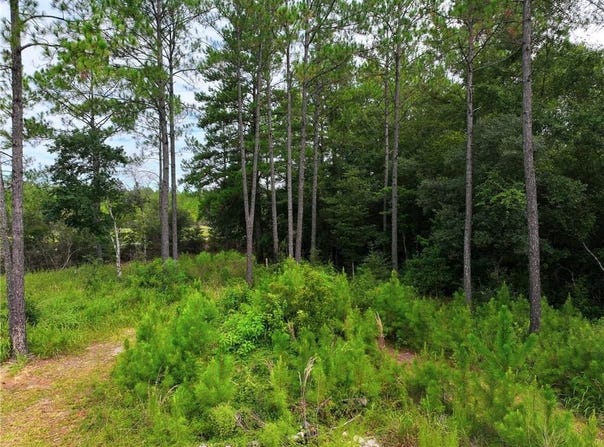 Foxtrap Road, Saraland, AL 36571