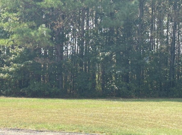PROSPECT Rd, Nauvoo, AL 35578